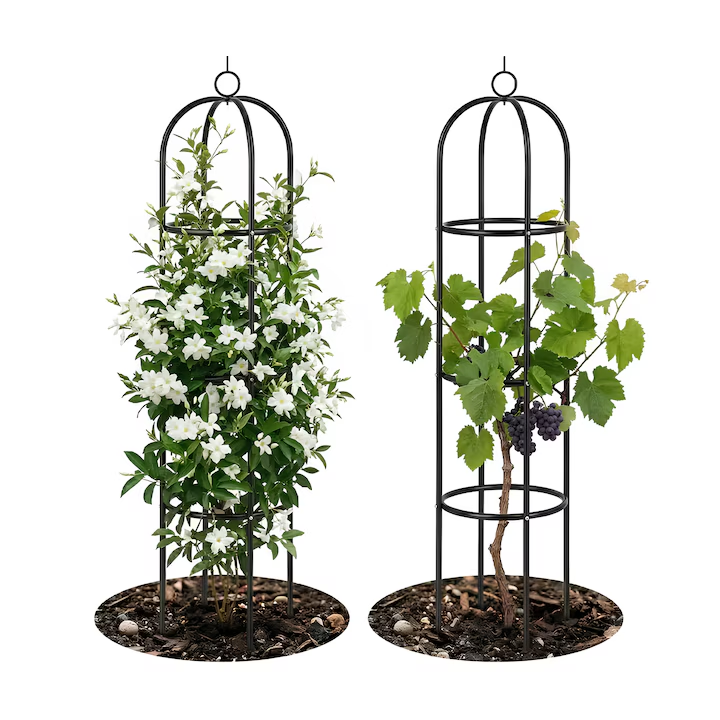 Suport metalic pentru plante de gradina 190 x 40 cm, spalier pentru trandafiri, suport plante cataratoare, design decorativ tip arc, stabil, Negru